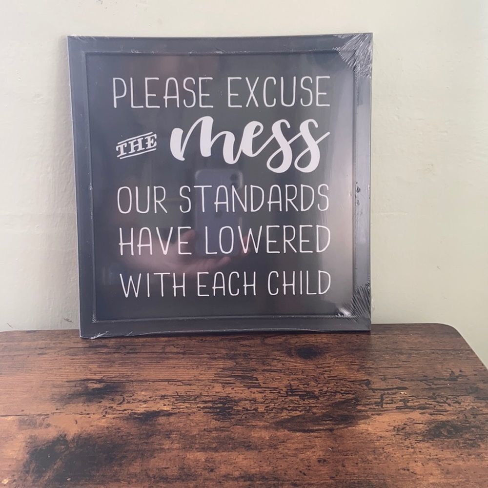 Please Excuse The Mess wall art